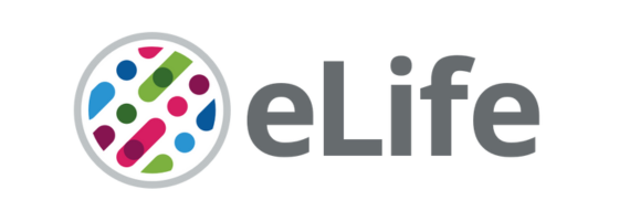 eLife company logo