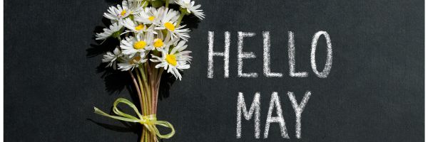 An image of a bunch of white flowers against a blackboard with the words 'Hello May' written on it