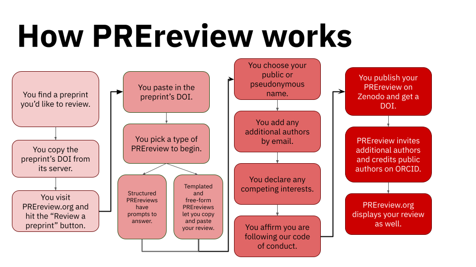 This flowchart illustrates how a PREreview is made beginning with finding a preprint and its DOI, copy and pasting that DOI into the "Review a preprint" workflow on PREreview.org, and then completing and publishing the PREreview.