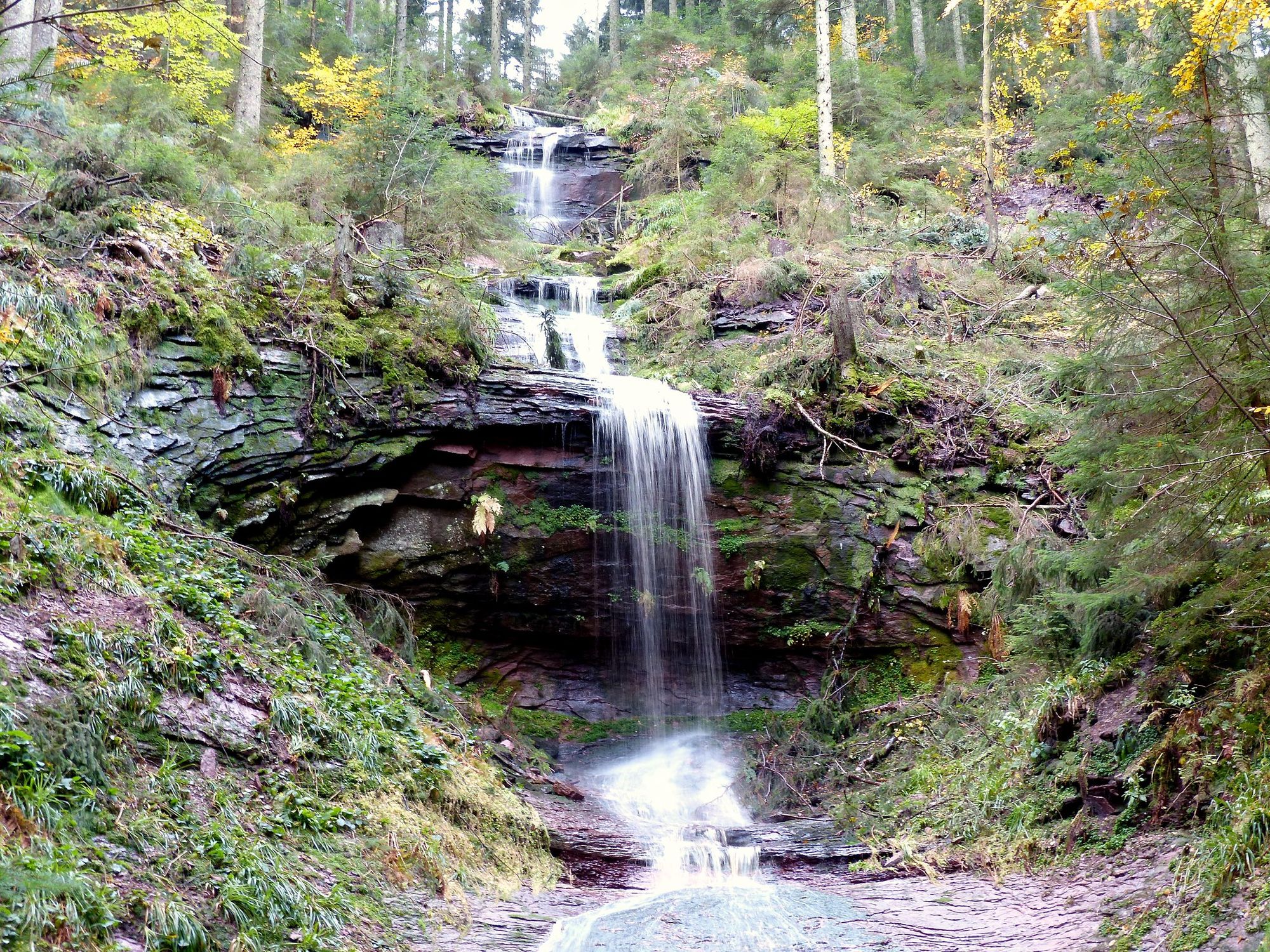 Color photo of a waterfall cascading through a lush green forest.