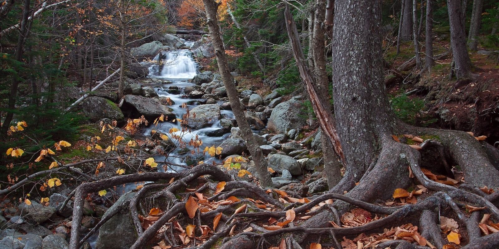 2025: A year of collective resolve and growing momentum