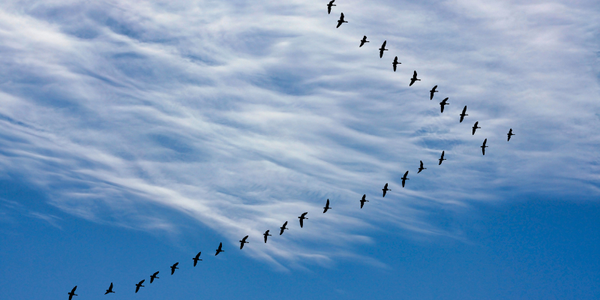 2026 PREreview Champions - Apply NOW